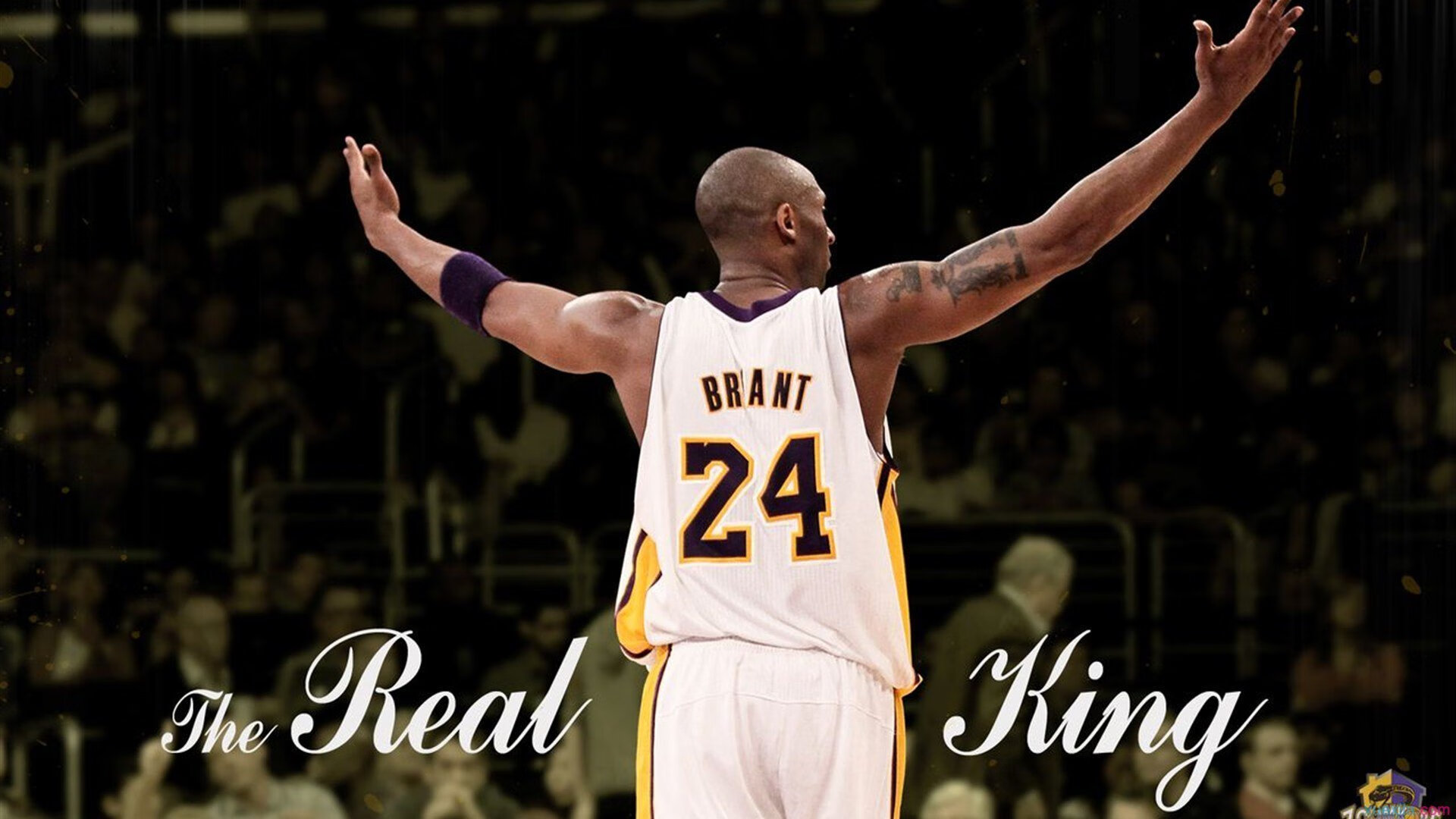 “年度运动话题短视频”展映+互动快闪跑